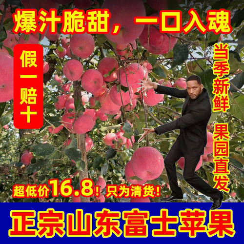特价山东富士苹果脆甜爆汁