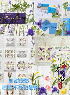 紫色花朵植物叶子元素信封卡纸 VI智能贴图提案Mockup样机PSD模板