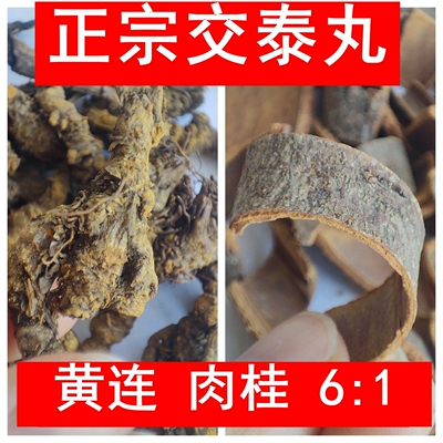 不打烊非马尾连替代品正宗川黄连
