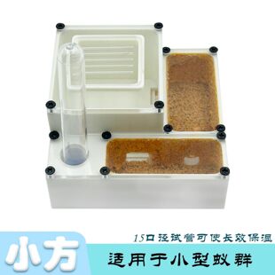 小方咪咪蚂专用仿生蚁巢立巢蚁巢亚克力蚁巢3D打印蚁巢蚂蚁