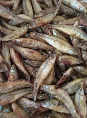 湖北广水特产新鲜小麻鱼煎过的小麻鱼干火焙鱼干 鱼干500克