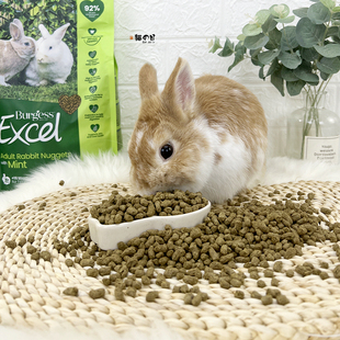 布格斯薄荷成兔粮500g分装英国Burgess益格幼兔饲料无糖非原包装