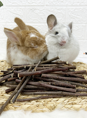 赫尔达苹果枝龙猫兔子豚鼠松鼠仓鼠4种混合果树枝磨牙木零食500g