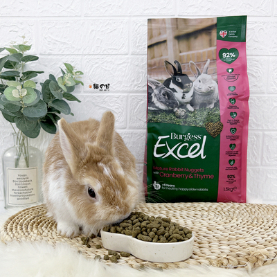 英国西洋参4岁+老年兔粮BURGESS