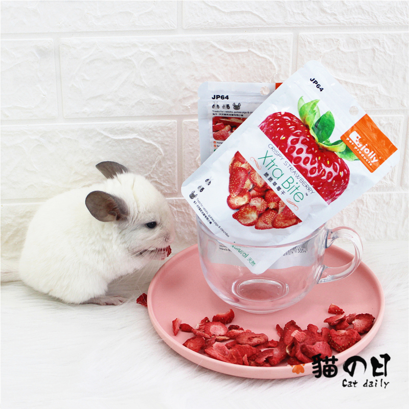 草莓干仓鼠兔子龙猫豚鼠零食