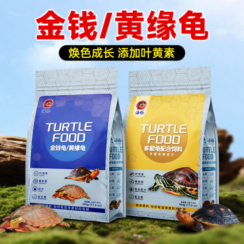 幼龟龟粮草龟火焰龟焕色黄缘龟