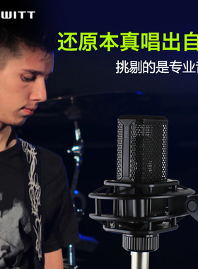 LEWITT/莱维特 LCT 249 PRO网红直播电容麦克风声卡套装电脑台式主播设备全套快手抖音手机通用主播唱歌专用