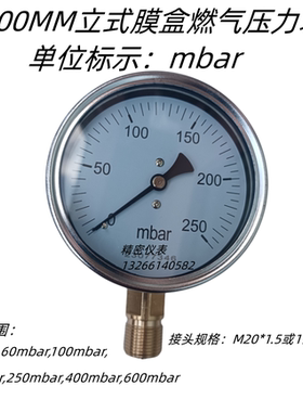 100MM直立式100mbar.160mbar,250mbar燃气天燃气压力表 全规格