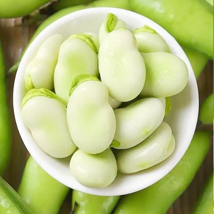 蚕豆大豆胡豆佛豆罗汉豆兰花豆