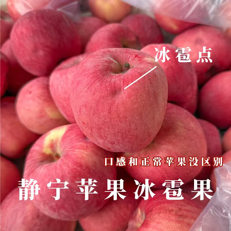 甘肃静宁苹果之乡瑕疵果
