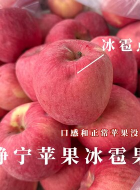 甘肃静宁苹果之乡瑕疵果