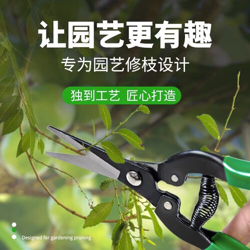 大吉果剪葡萄西红柿秧修枝剪园艺采摘果苗圃花卉柑橘水果剪刀直头