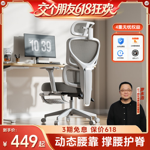 恒林网布3D动态可调腰枕