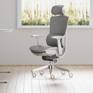 恒林星熠人体工学椅电脑椅家用舒适久坐办公座椅双背护腰电竞椅