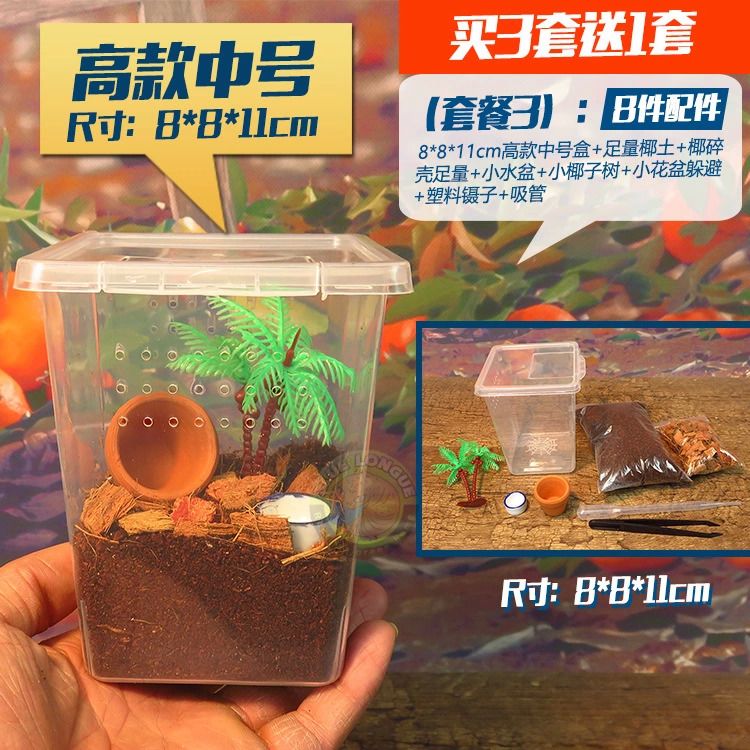 专业防越狱小幼体蜘蛛盒宠物火玫瑰印度华丽雨林太阳虎饲养盒包邮