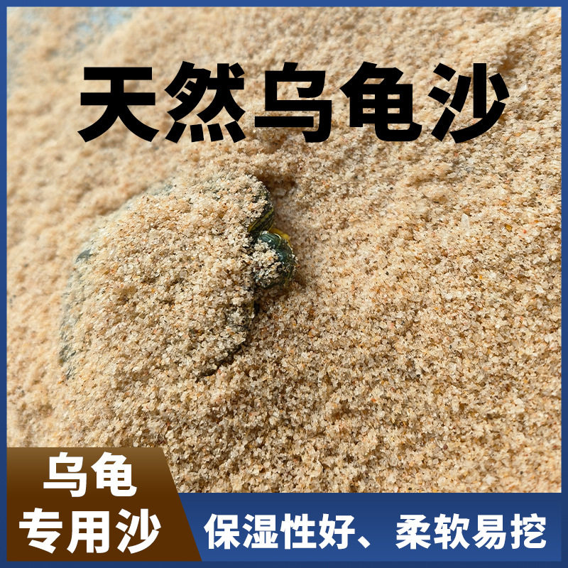 乌龟下蛋冬眠河沙鱼缸天然底砂孵化巴西龟沙子专用沙土