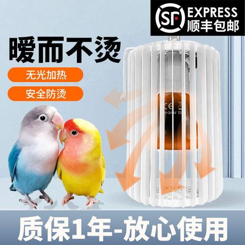 鹦鹉鸟方形保暖灯红外陶