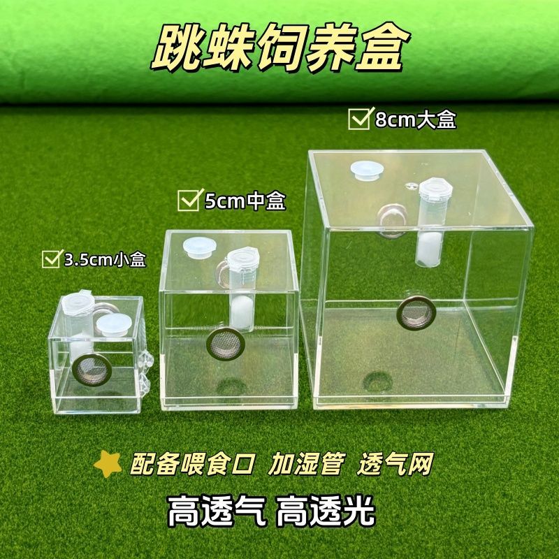 亚克力高透透气跳蛛饲养盒