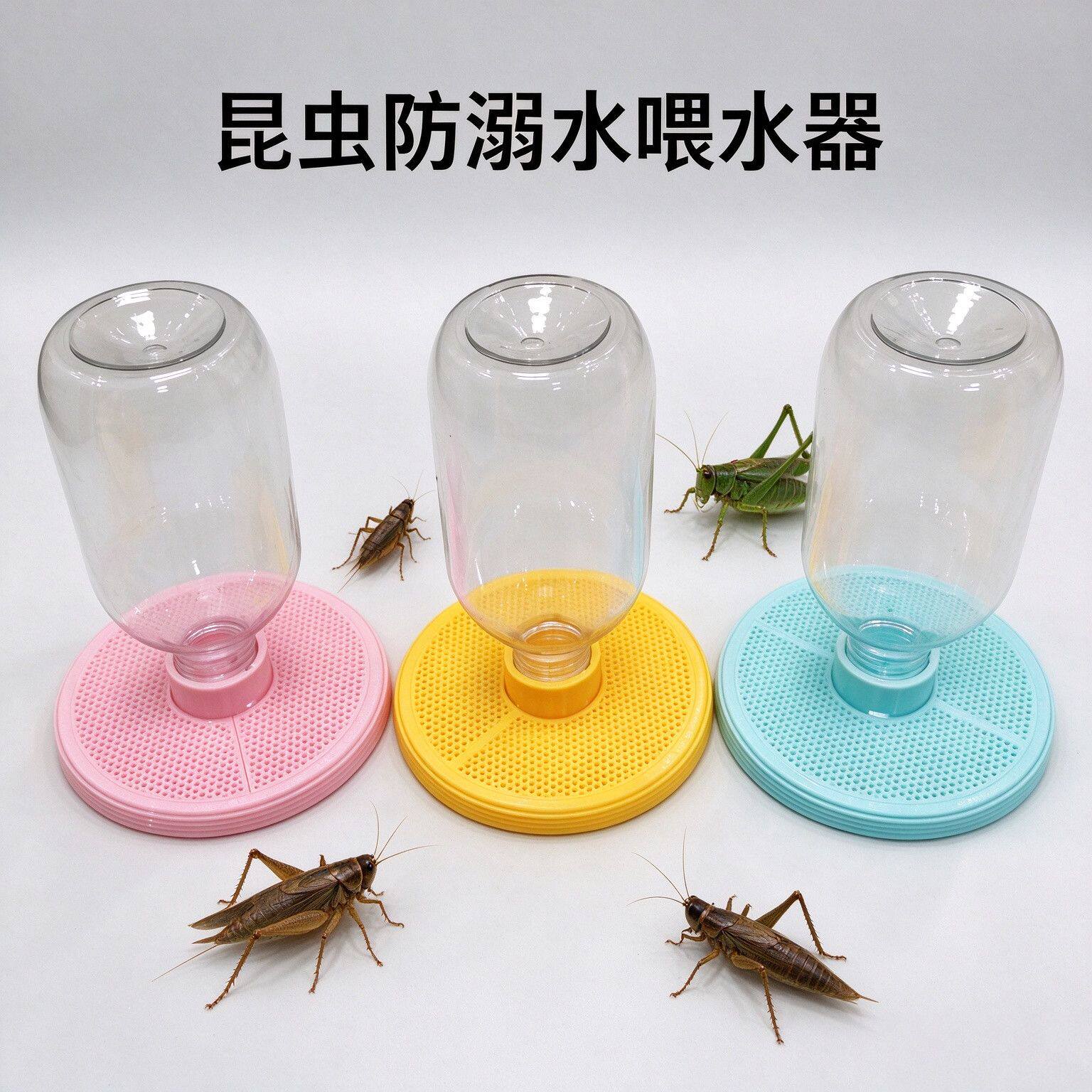 昆虫蟋蟀饮水器喂水防溺水蝈蝈杜比亚油葫芦针头水盆无耗材易清洗