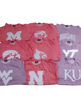 清仓处理NCAA秋冬款薄绒运动休闲圆领卫衣美式反光印oversize上衣