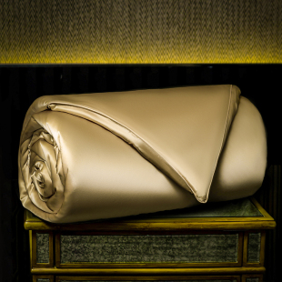 欣恋纯真丝蚕丝被100%双宫桑蚕丝床品春夏被芯双人空调被四季 被子