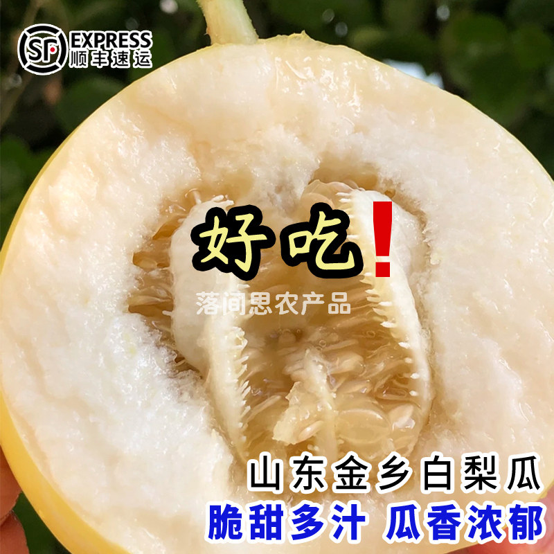 山东金乡白梨瓜胡集早甜脆甜瓜当季新鲜现摘水果小蜜蜂小蜜罐香瓜