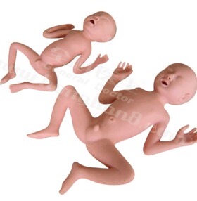 高级24周早产儿模型GD/FT331A