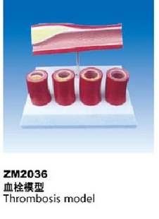 ZM2036血栓模型