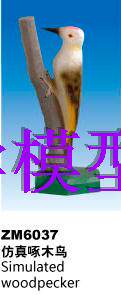 ZM6037仿真啄木鸟解剖模型