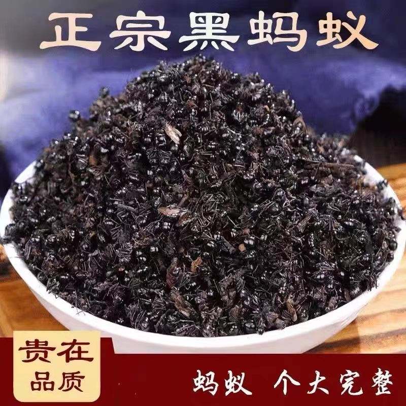 黑蚂蚁 大蚂蚁干  泡酒料 黑蚂蚁粉500g精选拟黑多刺蚁泡酒料