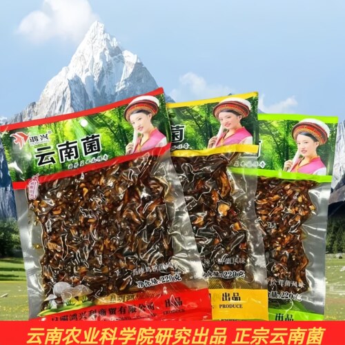 松茸菌松茸菌即食牛肝菌鸡枞菌