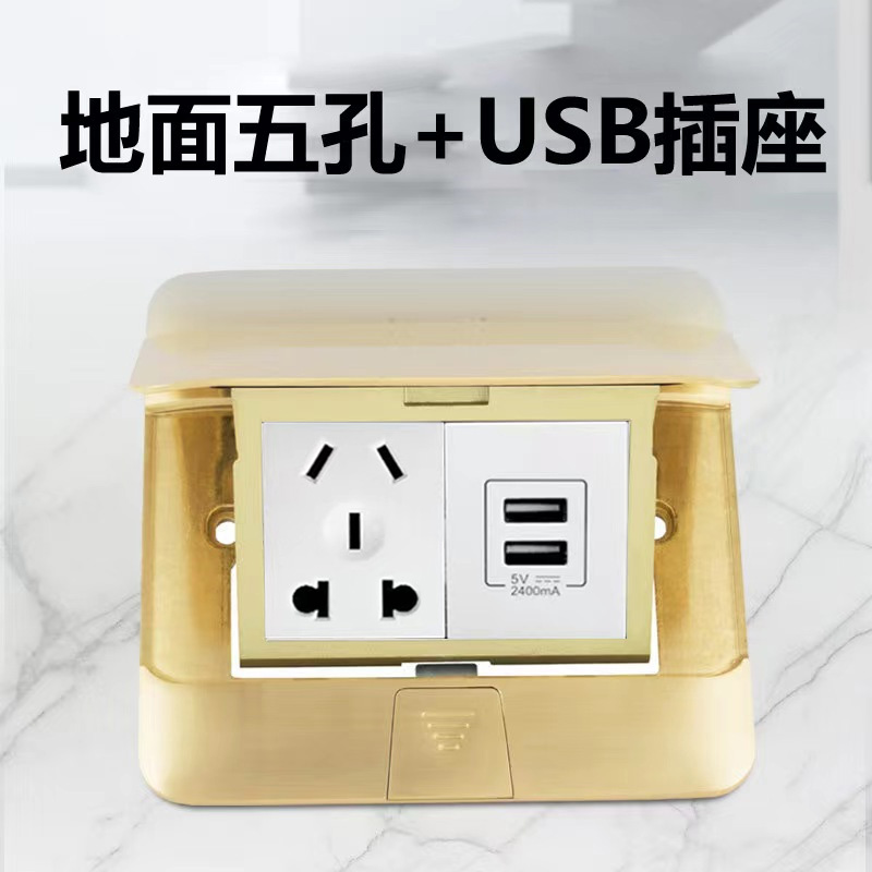 TCL罗格朗普通全铜地脚插纯铜防水五孔加USB地插家用轻薄型
