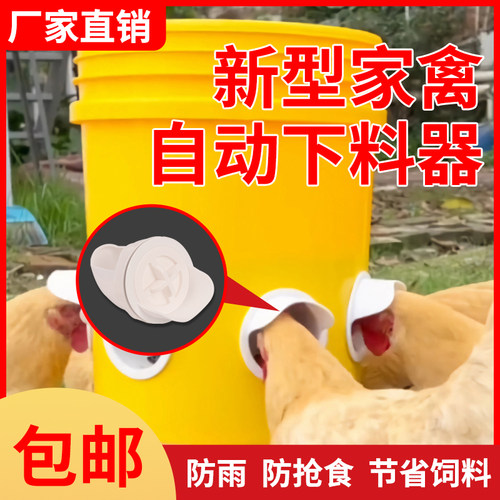 喂料器鸡用饲料桶方便省力