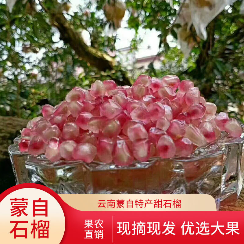 云南新鲜现摘直发老树石榴红河蒙自绿子薄皮石榴应季水果一整箱