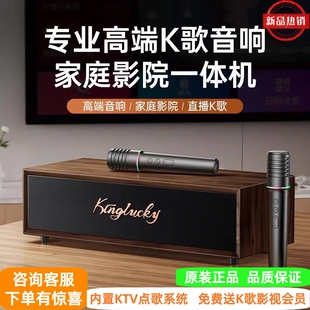 正品金运新款V1家用卡拉OK点歌K歌音箱 声卡功放音响一体机带话筒