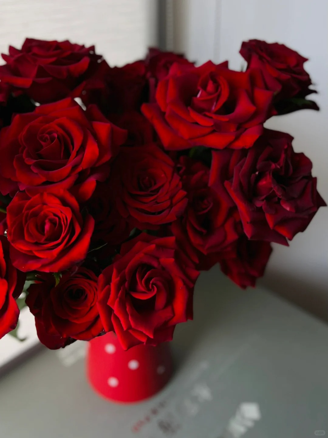 红玫瑰装饰送人丝绒鲜花包邮