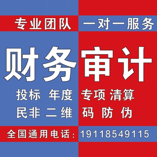 年度审计咨询财务报表投标报离任验资清算年检公司年审专项备案