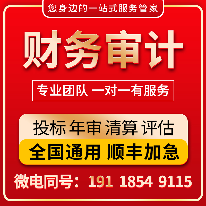 年度审计咨询财务报表投标报离任验资清算年检公司年审专项培