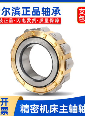 哈尔滨圆柱滚子轴承 RN 204 205 206 207 208 209 305 306 307 M