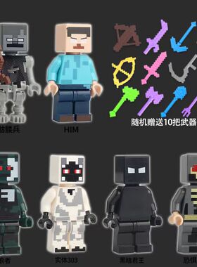 新品我的世界人仔him实体303暗黑魔王武器拼装积木男孩玩具礼物