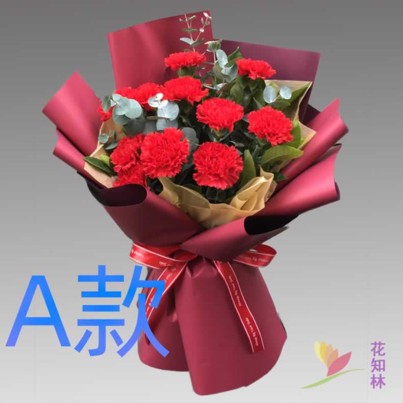 生日纪念康乃馨河南新乡花店送花长垣县卫辉市辉县市同城鲜花快递