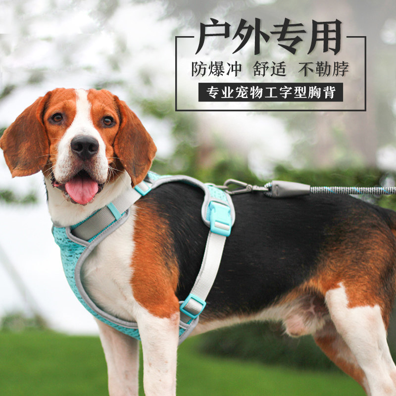 肯特仕外出夏季中型用品胸背带图片