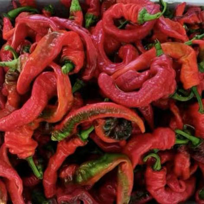 猪大肠20粒种子（荒野拾遗录）满29包邮  大盘鸡专用