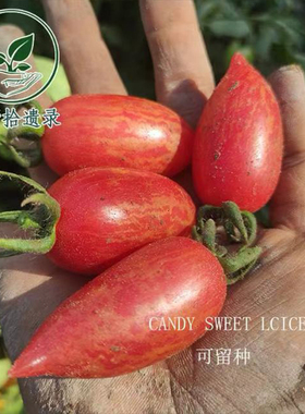 【自封顶】甜蜜冰柱约20粒 庭院阳台露台种植荒野拾遗录满39包邮