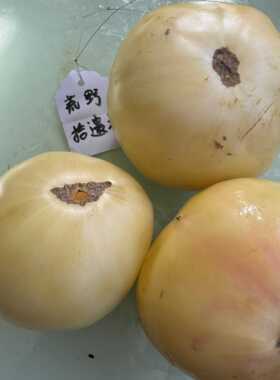 黄粉色的心脏 1884 yellow pinkheart