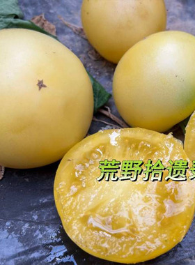 dwarf 澳大利亚矮化型巴罗萨之宴3粒种子（荒野拾遗录）满39包邮