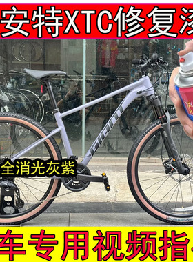 适用于捷安特26款XTC全消光灰紫补漆笔划痕修复XTC紫色山地车漆