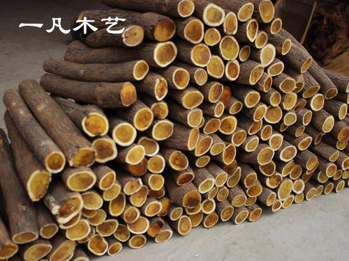 黄金柚 对眼佛珠料 原料 刀柄料 条子料