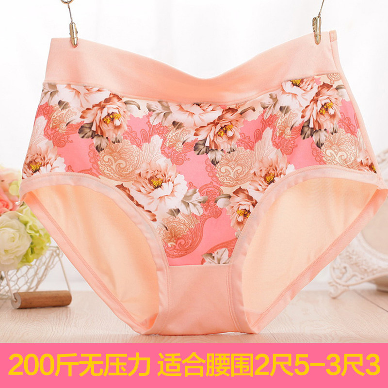 Slip en La fibre de bambou - Ref 641666 Image 1