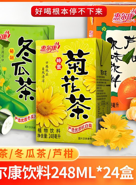 惠尔康芦柑夏日解腻饮料248ml*24盒果味整箱怀旧同年味道